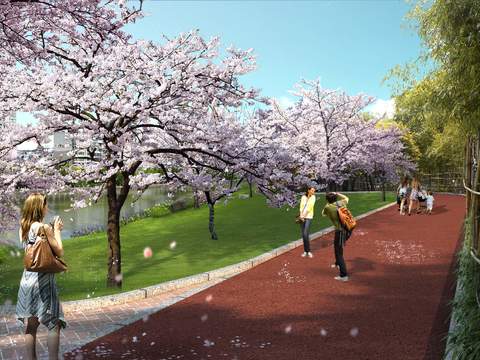  现代桃花树公园园林景观psd 