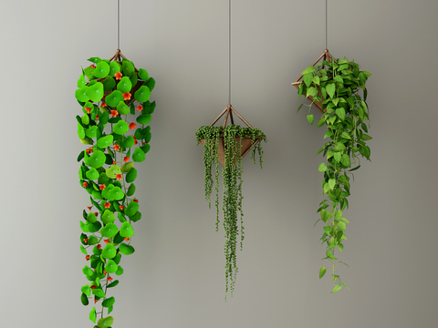  现代绿植吊篮3d模型 