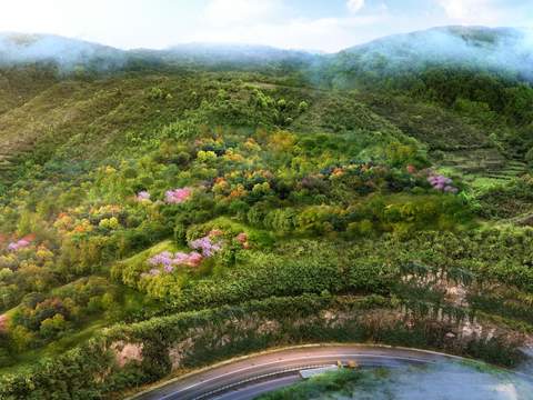  山坡 山体挡墙 植被psd 