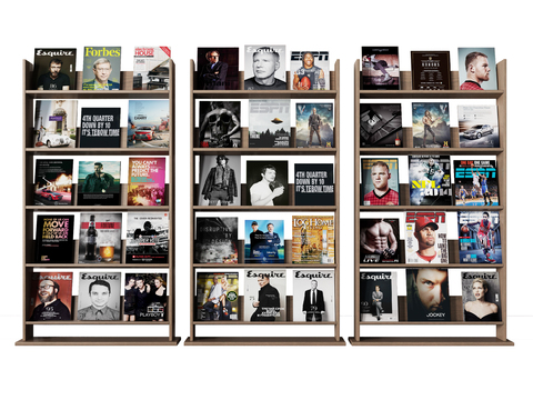  现代实木书架杂志架3d模型 