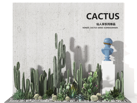  现代仙人掌园艺小品3d模型 