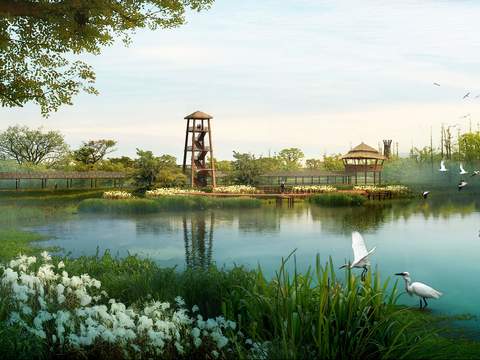  现代湿地园林景观psd 