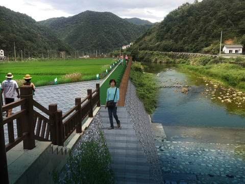  现代菜园景观psd 