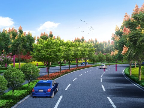  道路栾树鸟瞰psd 