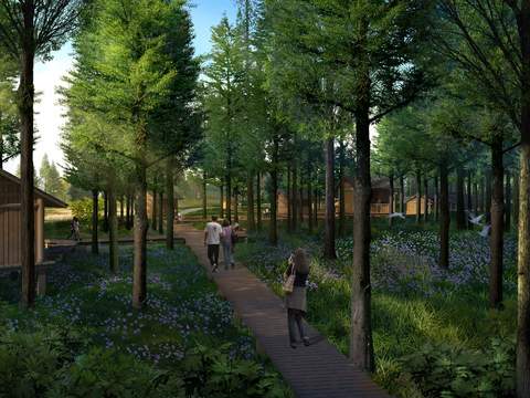  现代森林丛林景观psd 