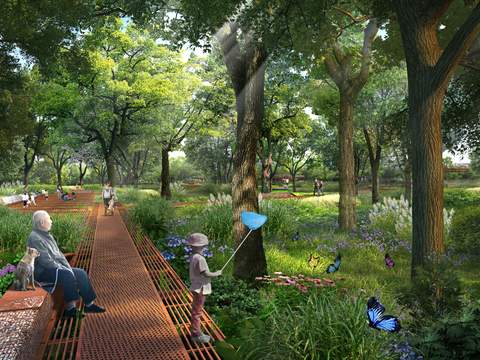  现代森林公园园林psd 