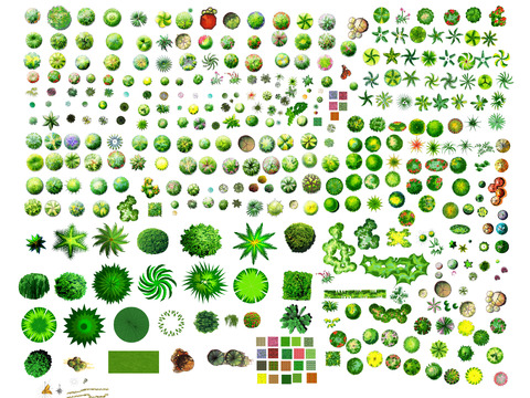  现代经典平面植物景观psd 