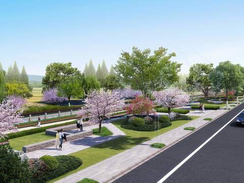  现代樱花树道路桥梁景观psd 