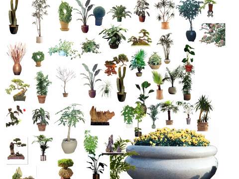  现代花草绿植盆栽花坛psd 