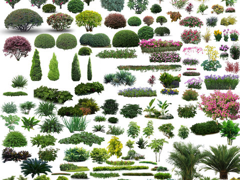  现代花草景观树灌木丛psd 