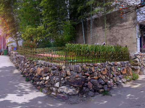  现代菜地菜园种植psd 