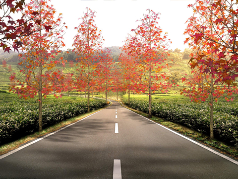  现代茶园景观psd 