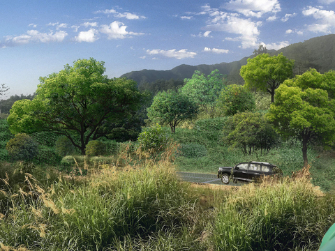  现代森林公园psd 