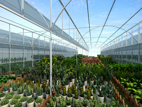  现代大棚盆栽3d模型 