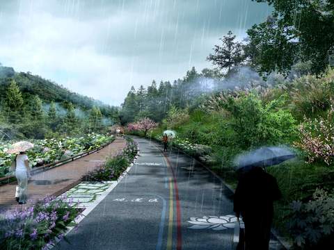  湿地公园 绿道雨景psd 