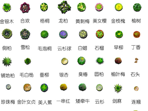  现代平面植物景观psd 