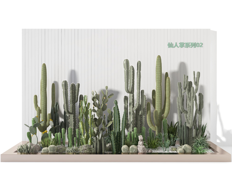  现代仙人掌园艺小品3d模型 
