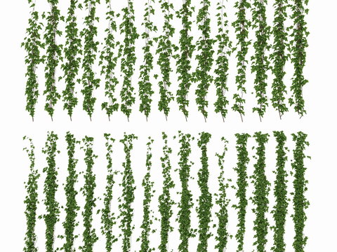  现代植物藤蔓3d模型 