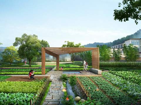  现代菜地园林景观psd 