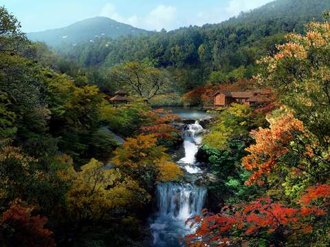  现代湿地流水园林景观psd 