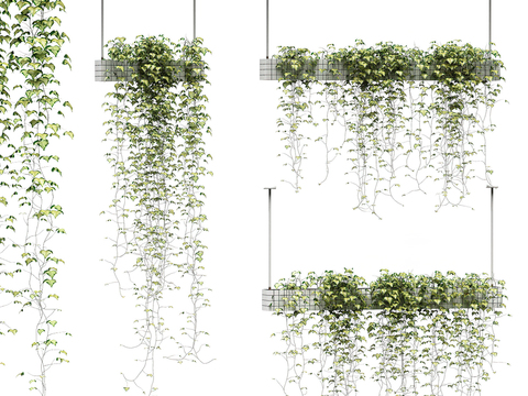  吊篮 盆栽3d模型 