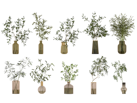  水生植物 水培绿植3d模型 