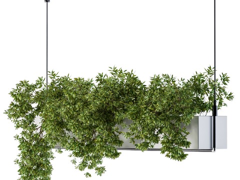  现代绿植吊篮3d模型 