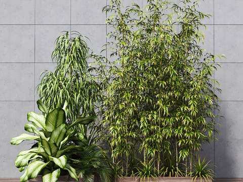  现代绿植竹子3d模型 