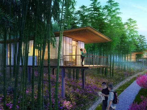  现代森林丛林竹林景观psd 