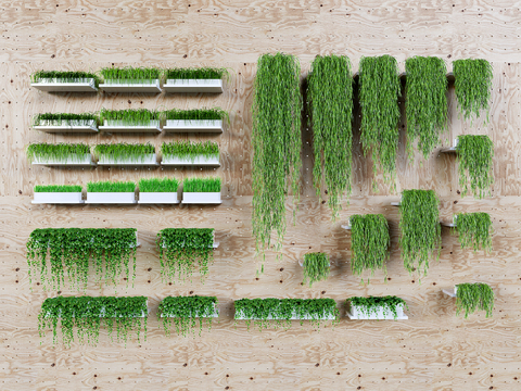  现代藤蔓植物3d模型 