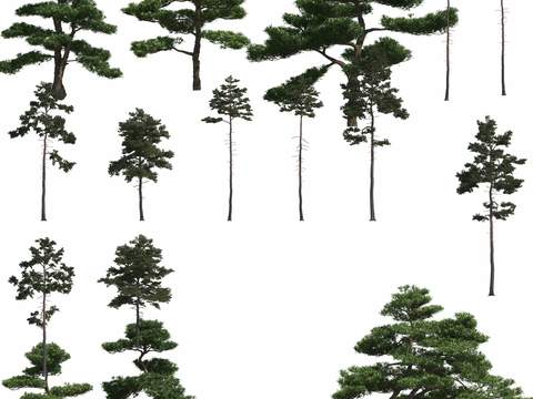  现代绿植树木psd 