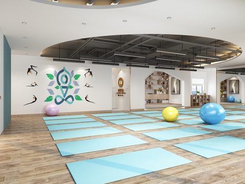  现代瑜伽房3d模型 