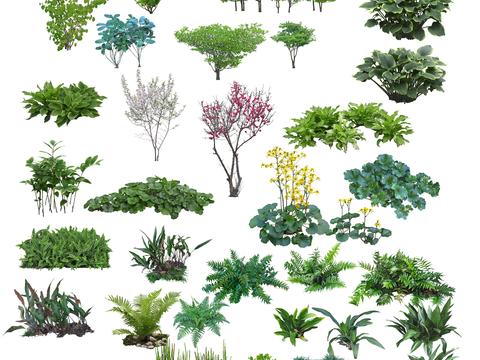  水生植物 浮萍 花草PSD模型 