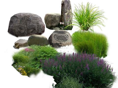  石头绿植花草psd 