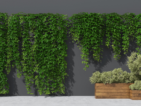  现代藤蔓 爬山虎3d模型 