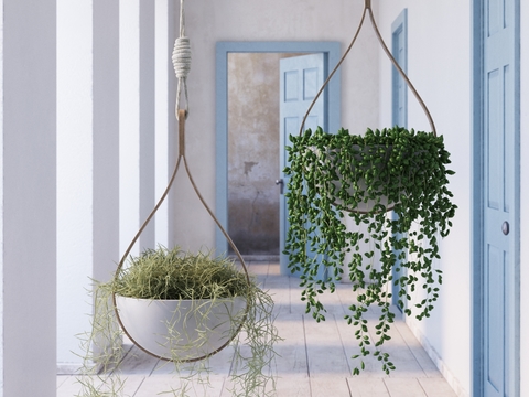  吊篮 悬挂盆栽3d模型 