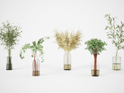  水生植物 水培绿植3d模型 