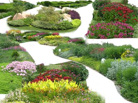  现代绿植花草psd 