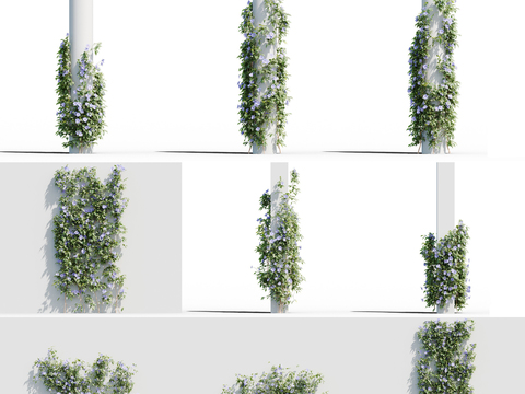  现代爬藤藤蔓3d模型 