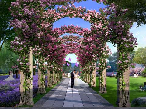  现代花卉公园婚礼拍摄草地psd 