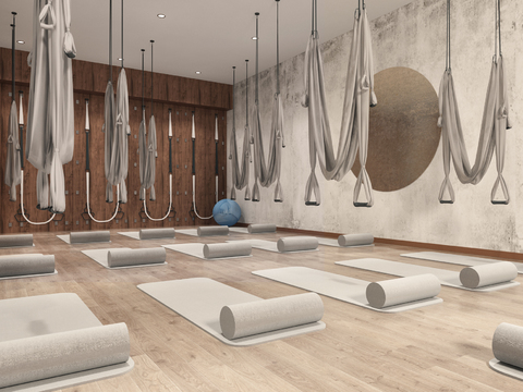  现代瑜伽室3d模型 