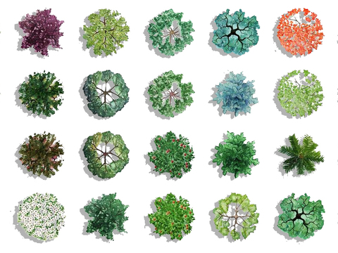  现代绿植树木平面素材psd 