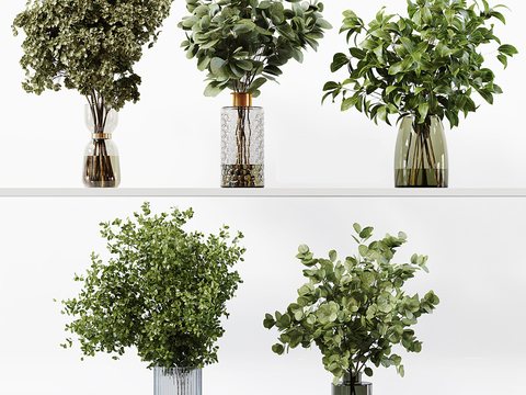  水生植物 水培绿植3d模型 