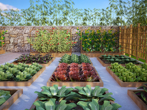  菜园 菜地3d模型 