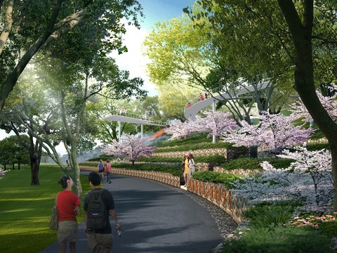  现代樱花树公园园林psd 