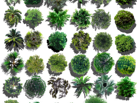  现代经典平面植物树木景观psd 