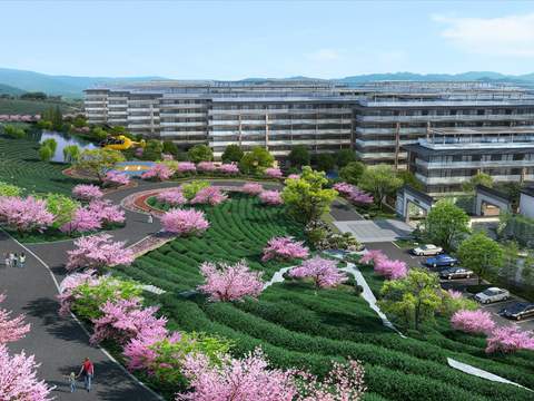  现代桃花树公园园林鸟瞰景观psd 