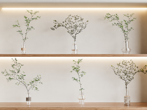  水生植物 水培绿植3d模型 