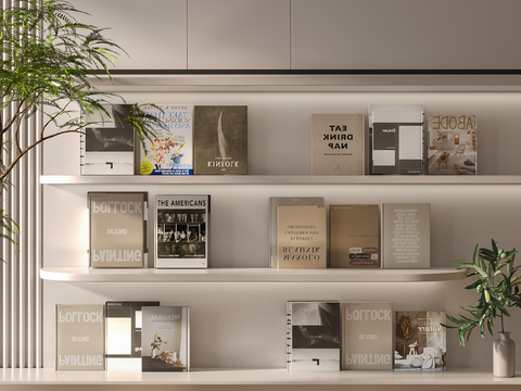  现代书籍 书本 杂志3d模型 