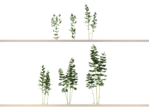  竹子 文竹 竹林 竹竿3d模型 